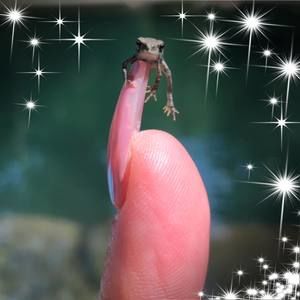 Meet your Posher, Hope